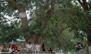 喀什大学师范专业好考吗 美丽的喀什师范学院